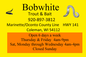 bobwhite ad web_edited-2