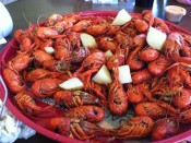 crawfish (2)